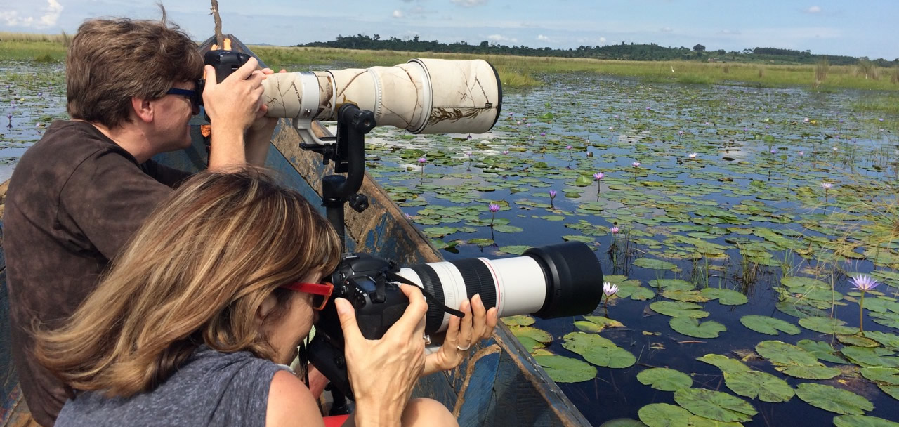 Canoeing on mabamba swamp